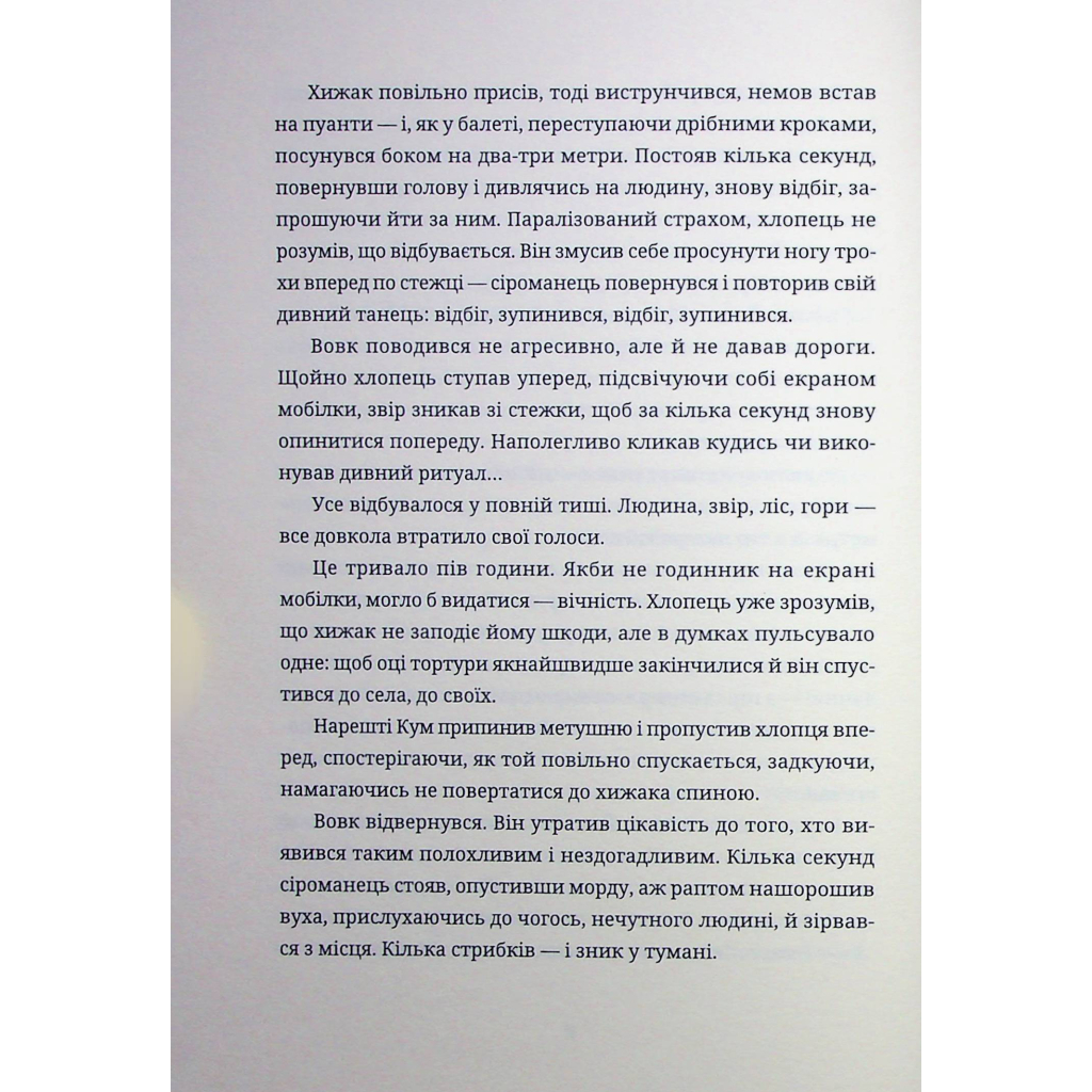 Книга Тамдевін. Бора - Галина Вдовиченко Видавництво Старого Лева (9789664483114) - зображення 10