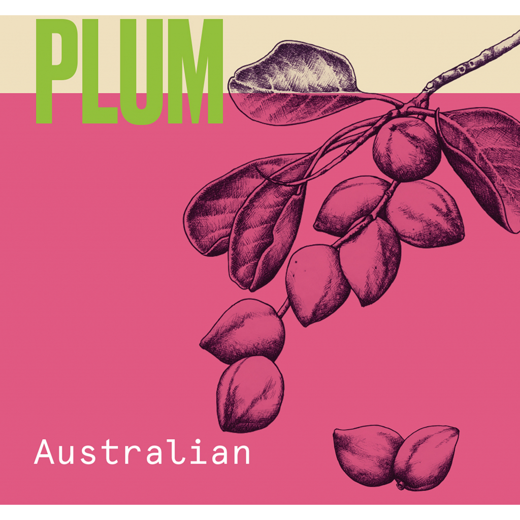 Шампунь Aussie Aussome Volume 300 мл (5410076390717) - зображення 6