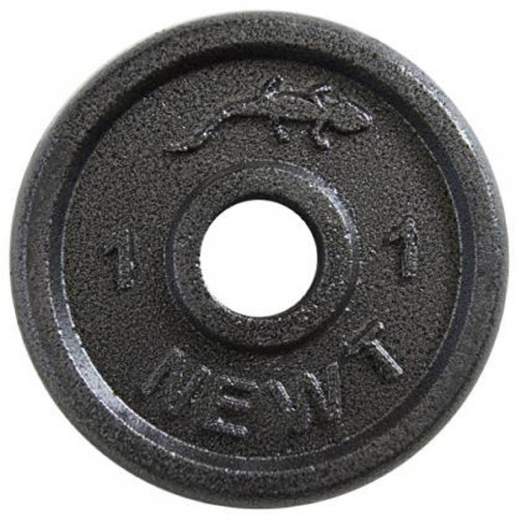 Диск для штанги Newt Home 1 кг, діаметр - 30 мм (NE-R001) - зображення 1