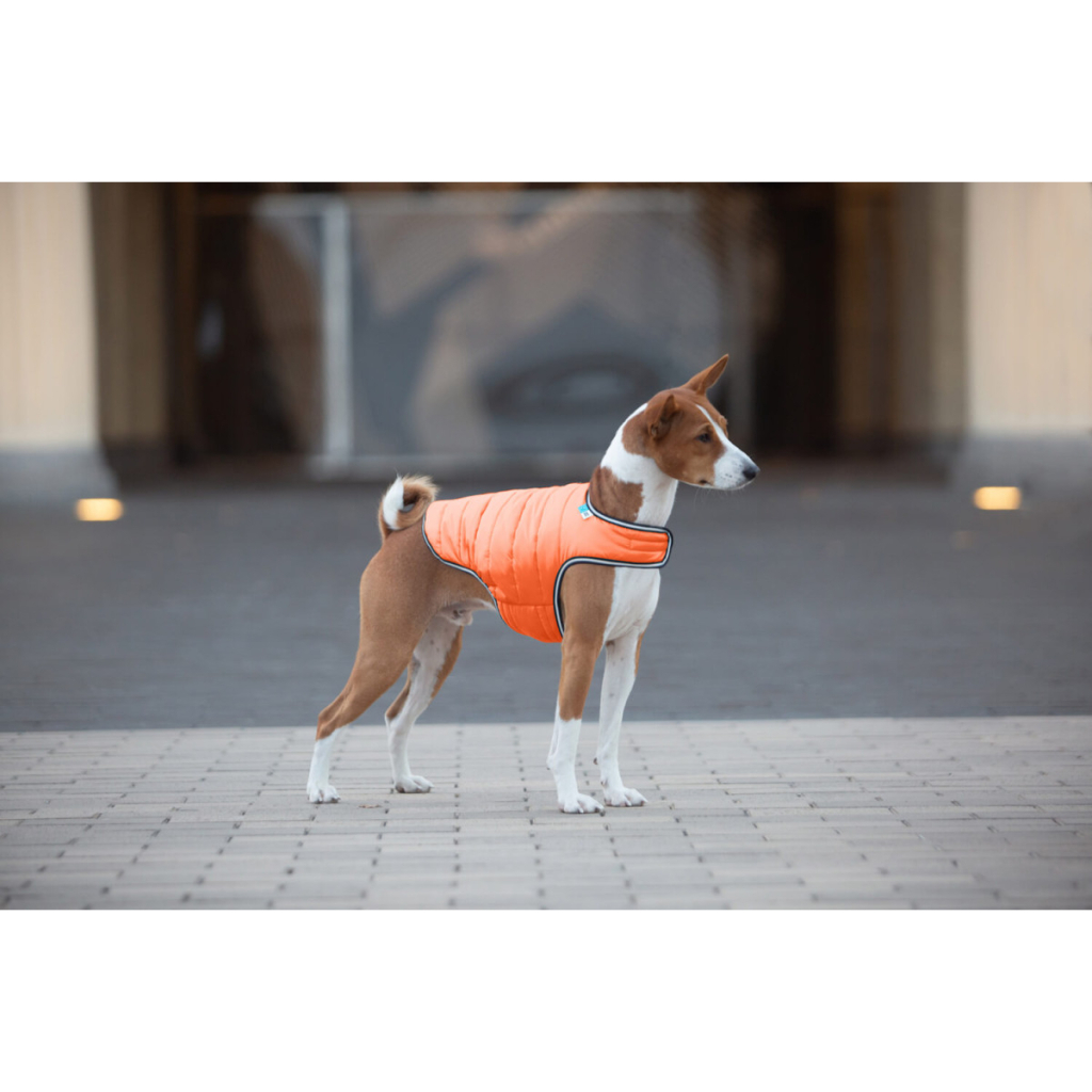 Курточка для тварин Airy Vest XL помаранчева (15454) - зображення 3