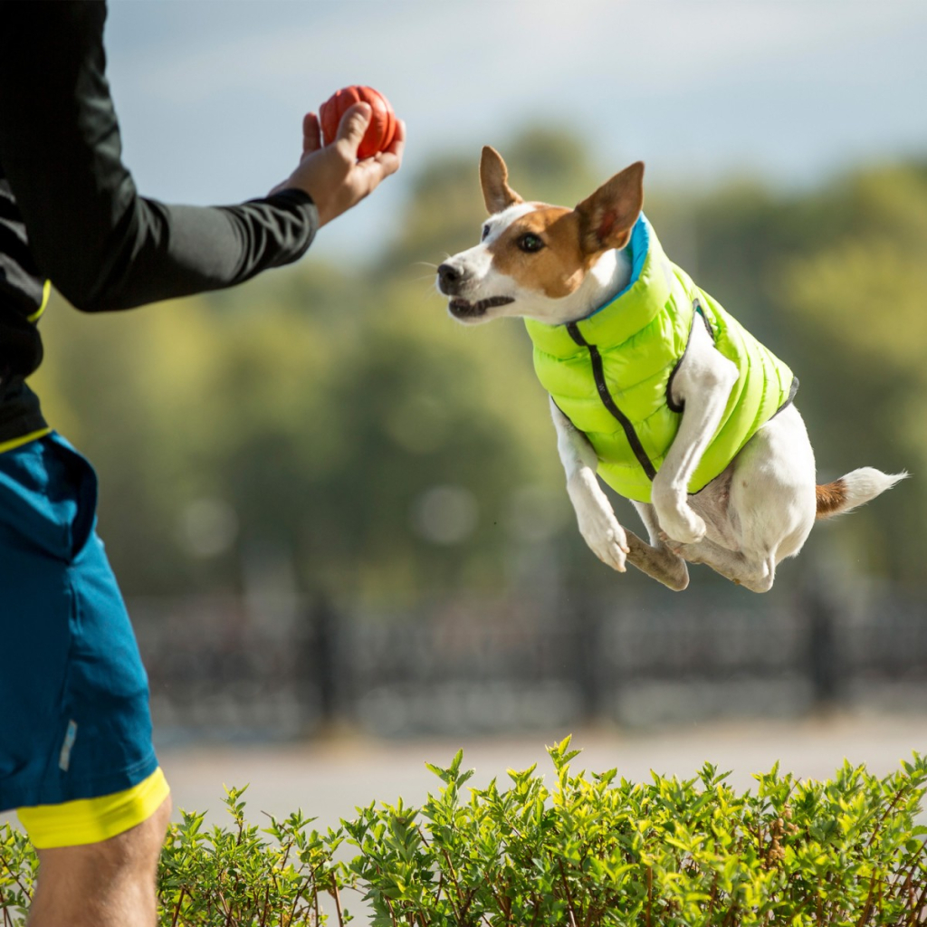 Курточка для тварин Airy Vest двостороння L 55 салатово-блакитна (1633) - изображение 10