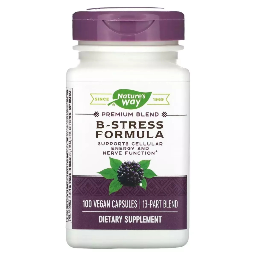 Вітамін Nature's Way Стрес формула В-Комплекс, преміум-суміш, B-Stress Formula, 100 (NWY-40631) - зображення 1