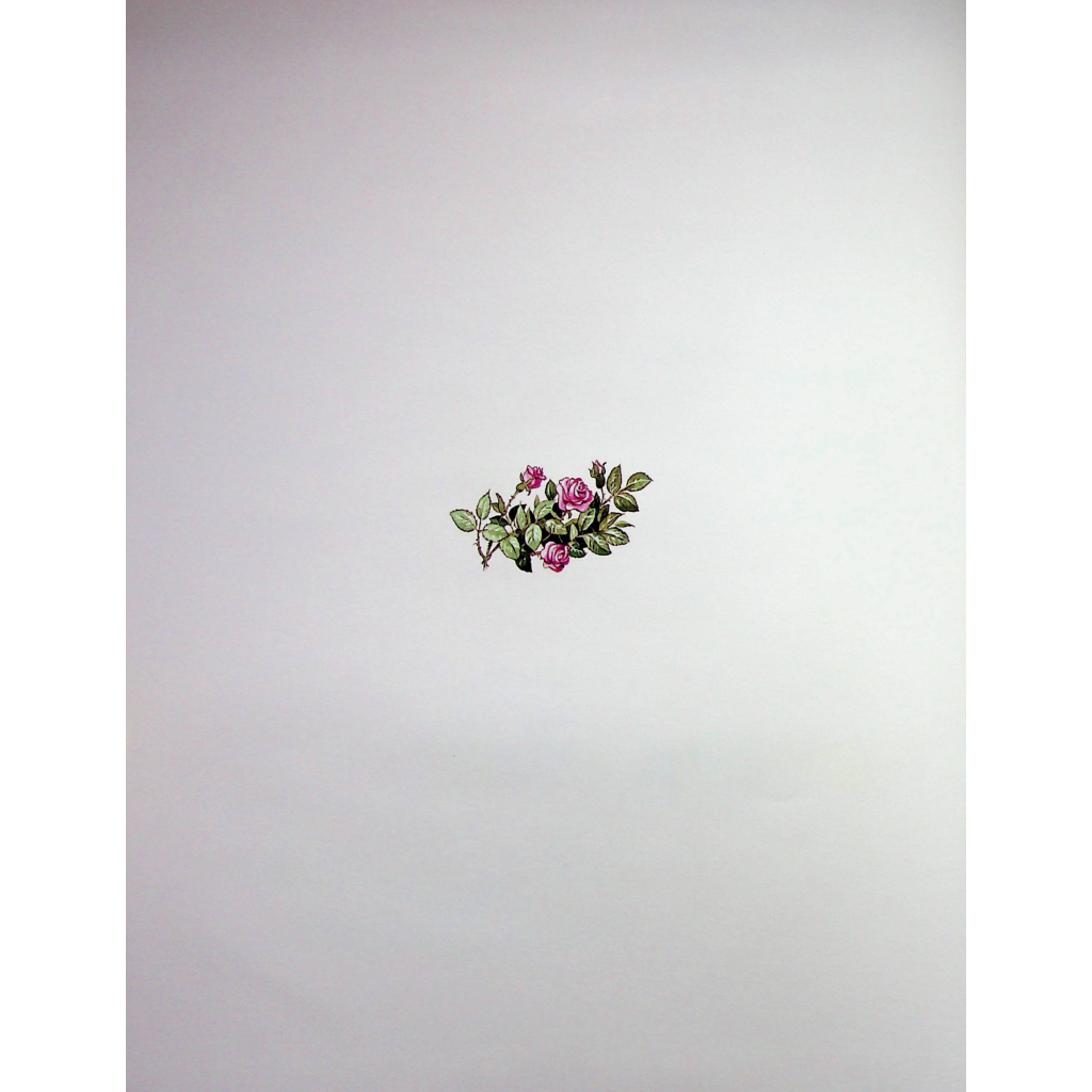 Книга Велика книга про фей і принцес - Пітер Холейнон Vivat (9786171704756) - зображення 5