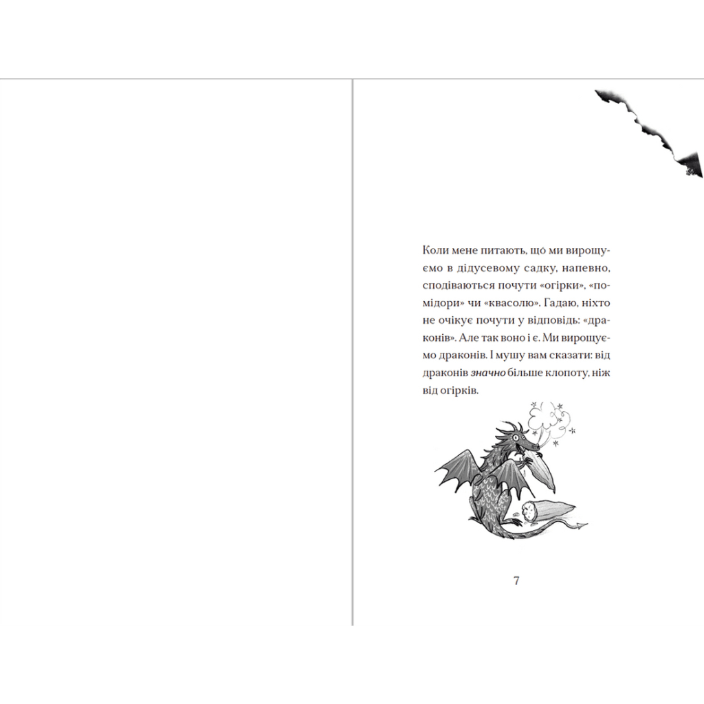 Книга Хлопчик, який вирощував драконів. Книга 1 - Енді Шепард Видавництво Старого Лева (9789666799664) - зображення 3