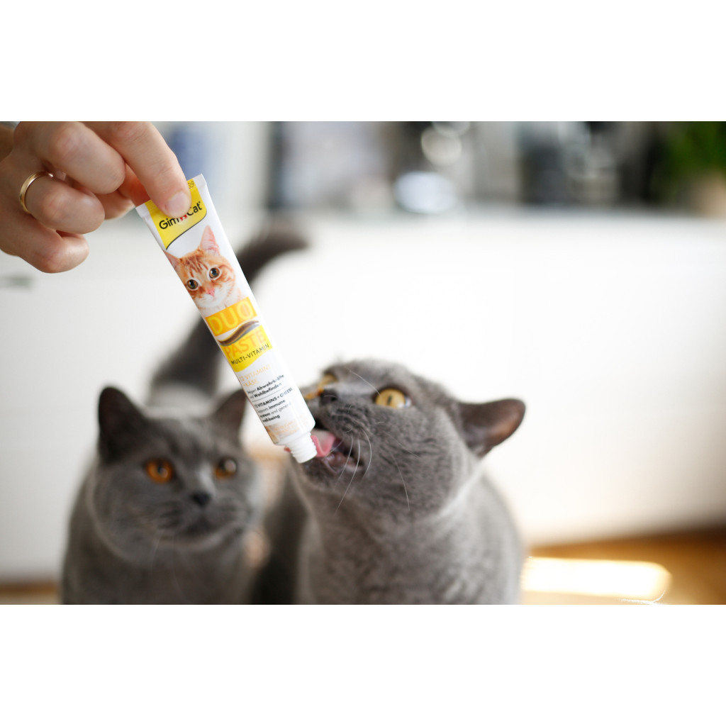Паста для тварин GimCat DUO PASTE Multi-vitamin 12 vitamins with cheese 12 вітамінів та сир 50 г (4002064421841) - изображение 4