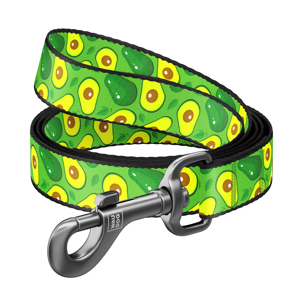 Повідець для собак WAUDOG Nylon "Авокадо" S Ш 15 мм х 122 см (4919) - зображення 1
