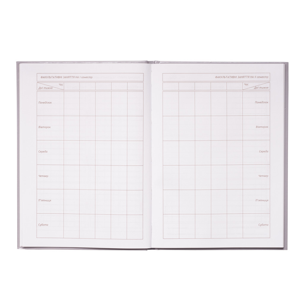 Щоденник шкільний ZiBi ICE CREAM В5 48 аркушів (ZB.13811) - зображення 5