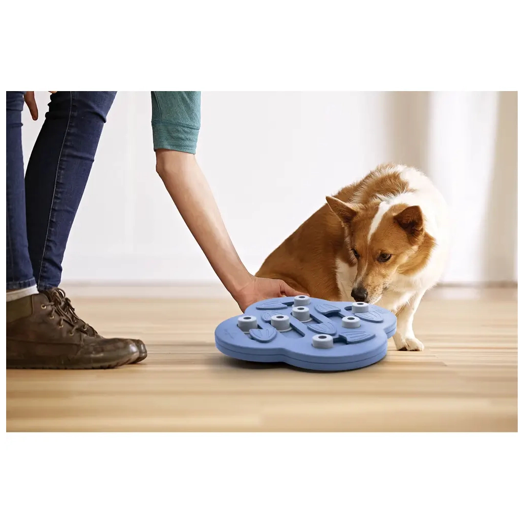 Іграшка для собак Nina Ottosson інтерактивна "Сховище" фіолетова (0700603695404) - изображение 5