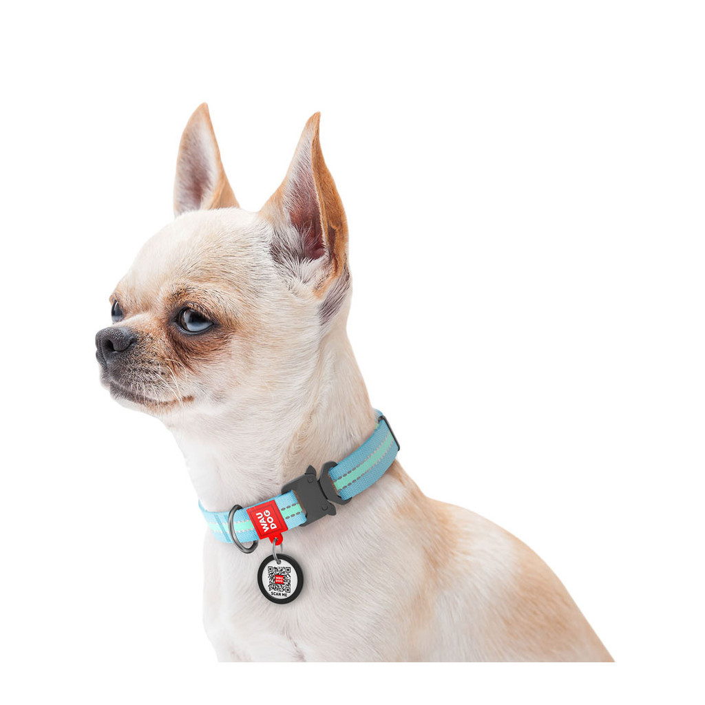 Нашийник для тварин WAUDOG Nylon з QR паспортом металічна пряжка-фастекс Ш 25 мм Д 33-49 см блакитний (52142) - зображення 3