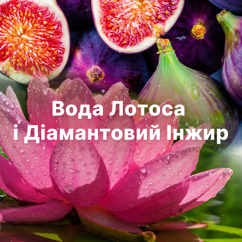 Кондиціонер для білизни Lenor Діамантовий інжир та вода лотоса 1200 мл (8006540909300) - зображення 7