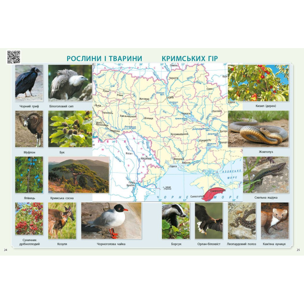 Атлас НУШ Я досліджую світ. 3 клас - О.В. Тагліна Ранок (9786170962454) - зображення 5