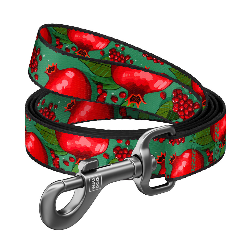 Повідець для собак WAUDOG Nylon "Гранати" M (341-4052) - зображення 1