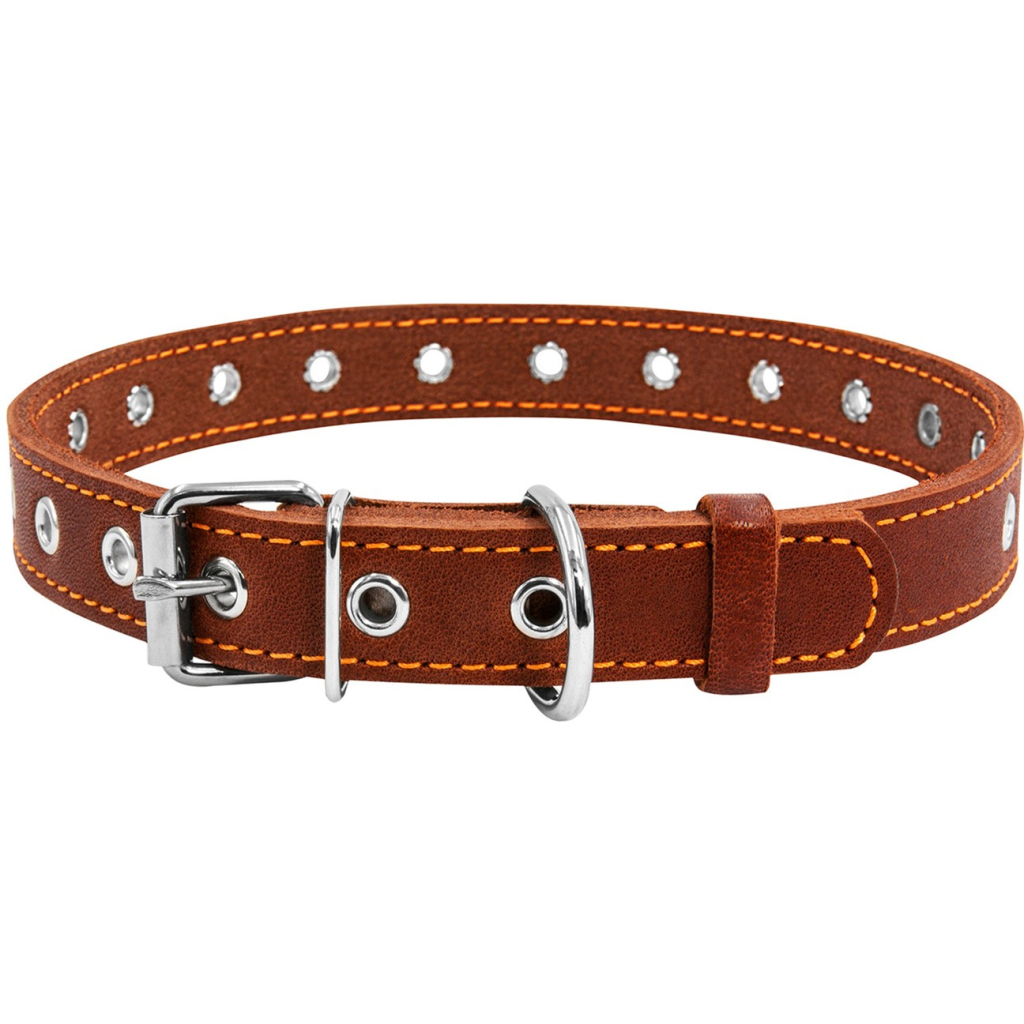 Нашийник для тварин Collar безрозмірний 20 мм 50 см (коричневий) (01516) - зображення 1