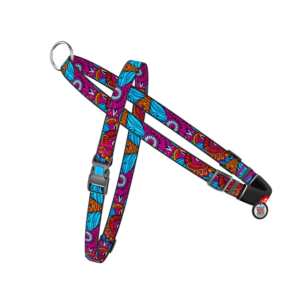 Шлея для собак WAUDOG Nylon з QR-паспортом "Літо" L (5438) - зображення 1