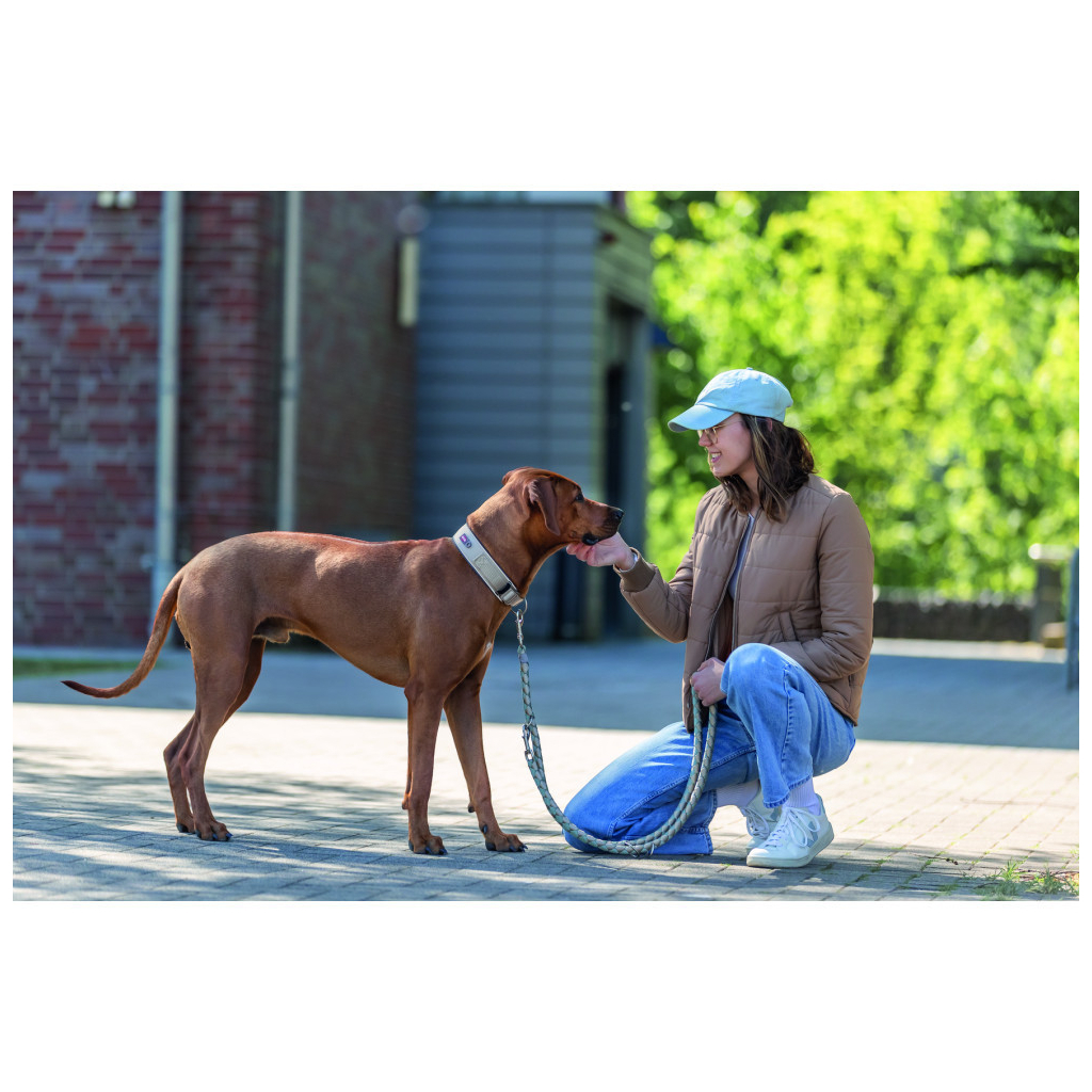 Нашийник для тварин Trixie Premium екстраширокий L 46-55 см 50 мм пісочно-сірий (4053032677531) - зображення 4