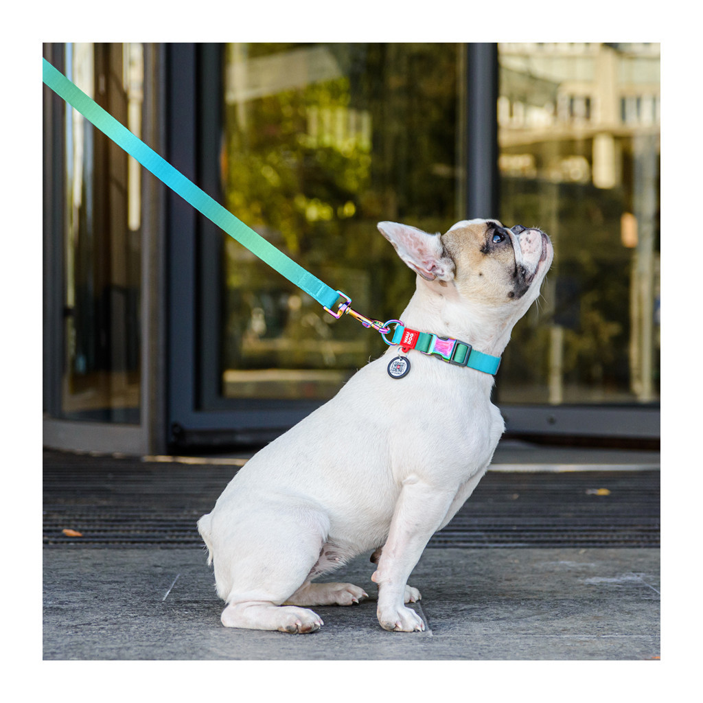 Нашийник для тварин WAUDOG Recycled з QR паспортом M Ш 20 мм Д 28-40 см блакитний (46512) - изображение 4