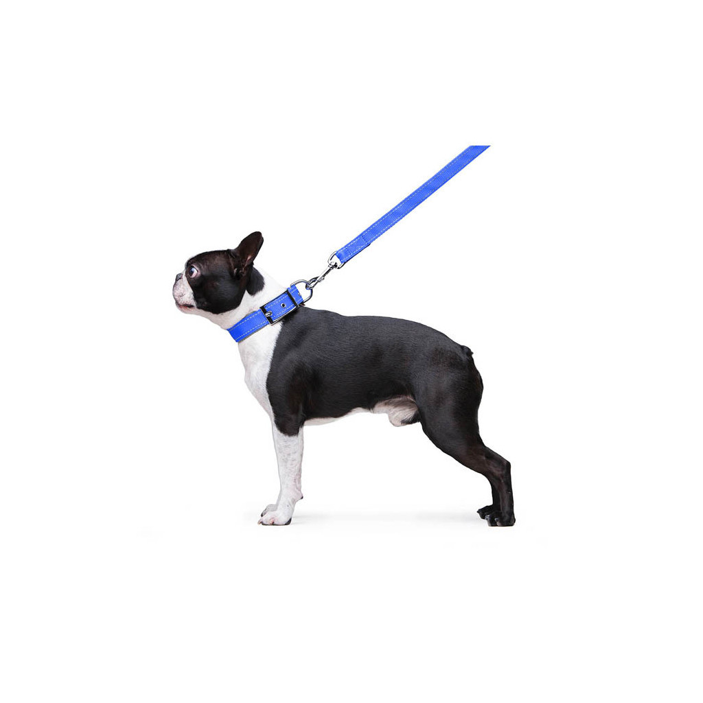 Повідець для собак Dog Extreme з нейлону подвійний Ш 20 мм Д 122 см блакитний (42982) - изображение 5