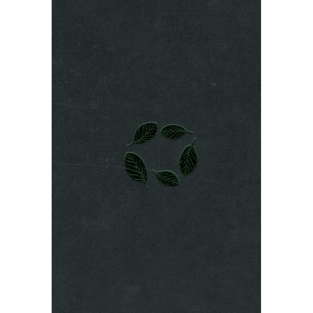 Книга Букова земля - Марія Матіос А-ба-ба-га-ла-ма-га (9786175851791) - зображення 3