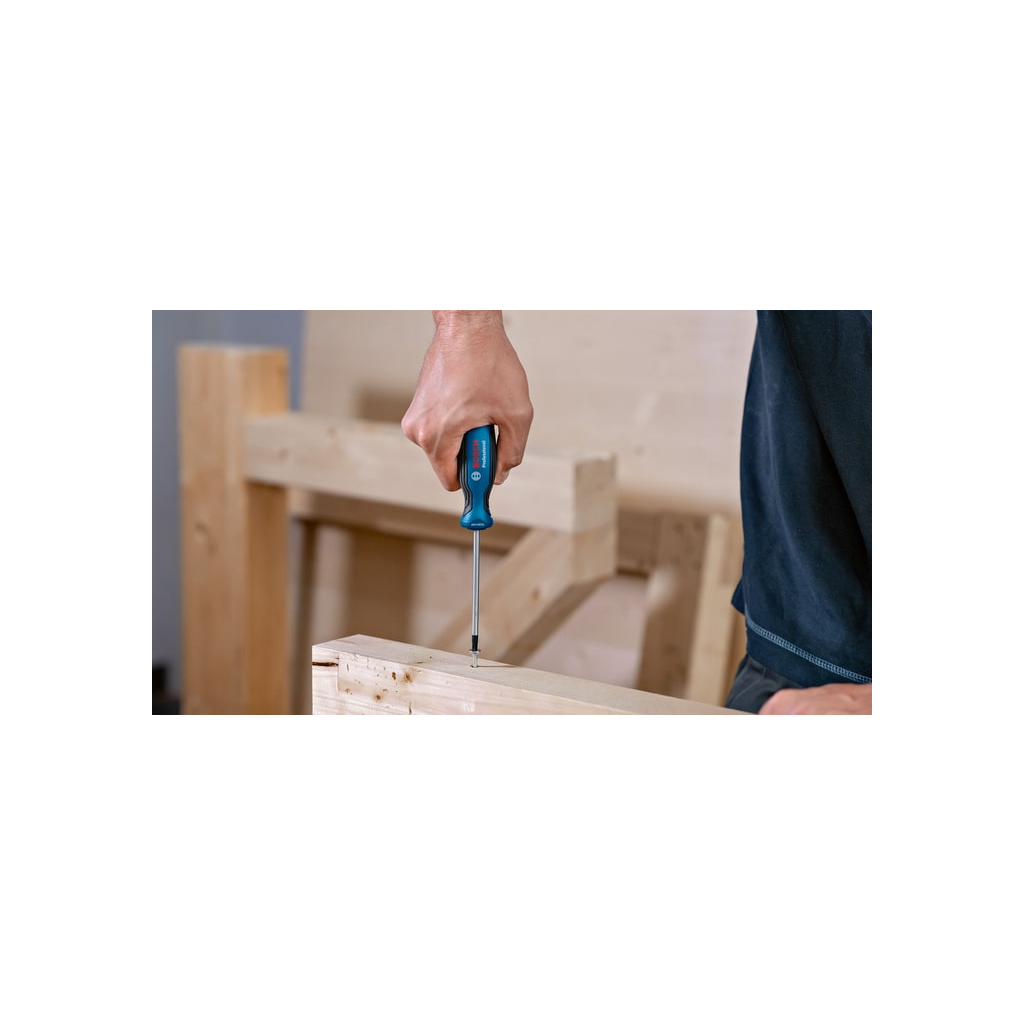 Набір викруток Bosch Torx 6шт, T10х75, T15х75, T20x100, T25x100, T30x125, T40x125 мм (1.600.A01.V09) - изображение 2