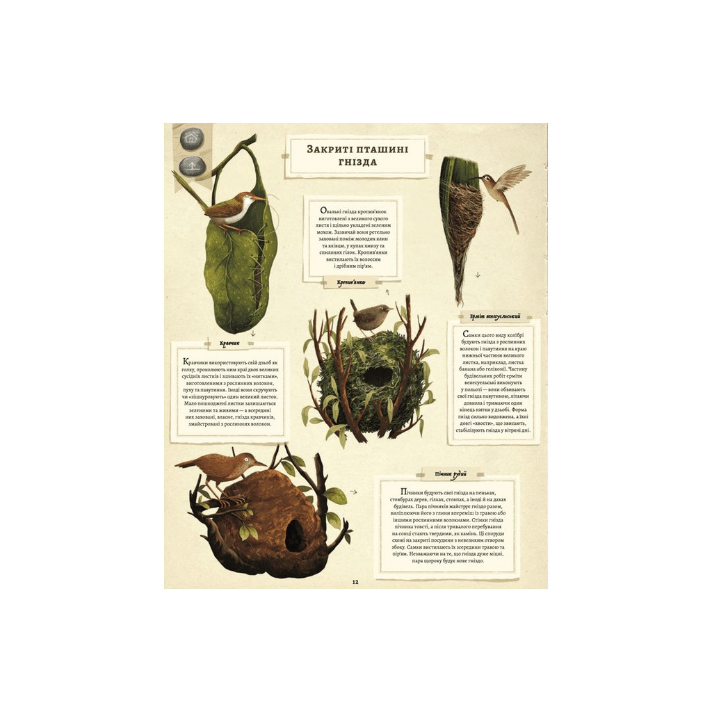 Книга Що будують звірята? - Емілія Дзюбак Видавництво Старого Лева (9789664481271) - зображення 10