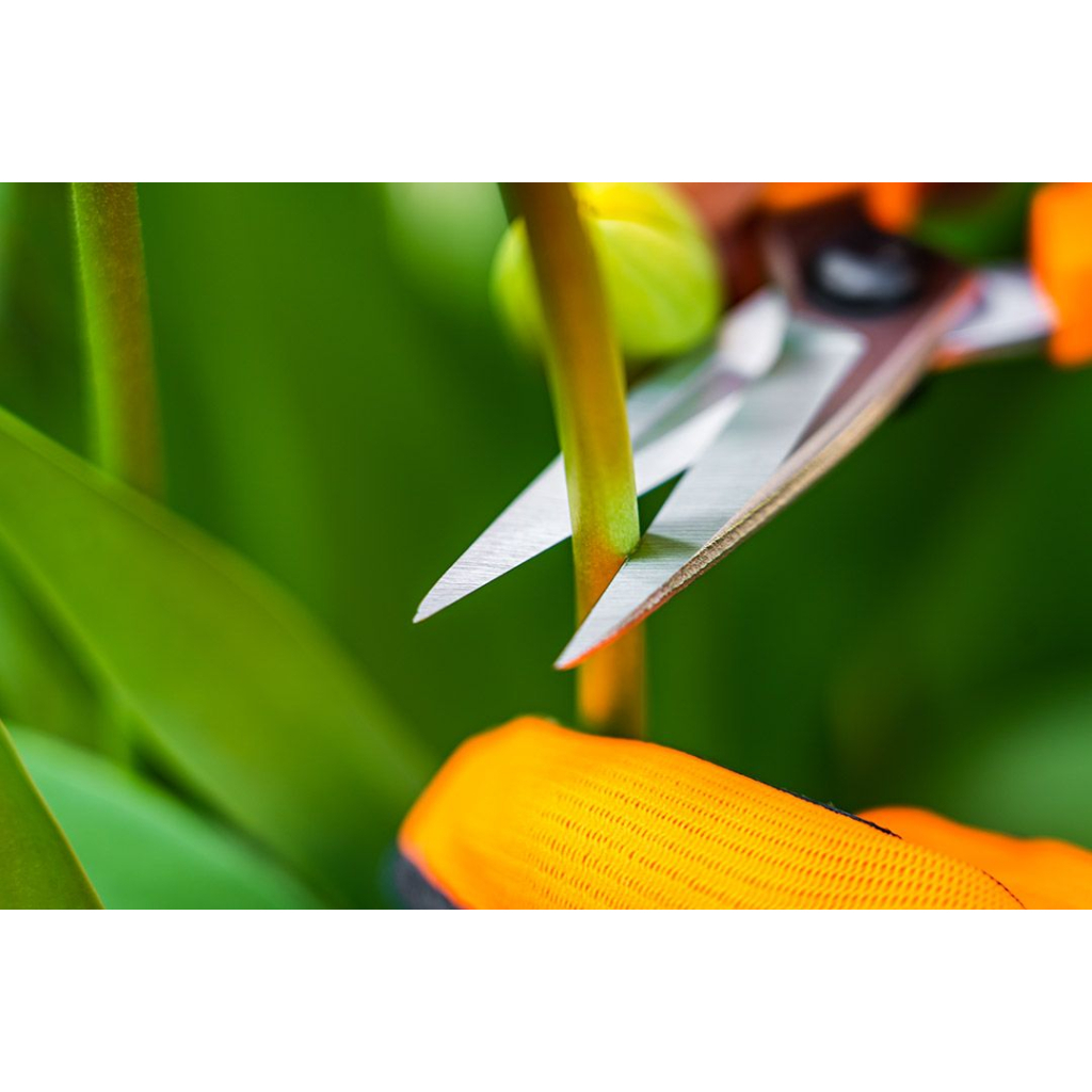 Ножиці садові Neo Tools 18.5мм, 115г (15-215) - изображение 8