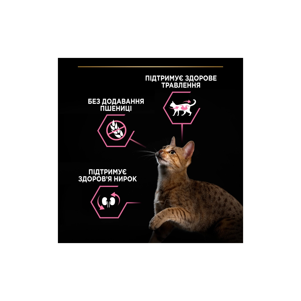 Сухий корм для кішок Purina Pro Plan Delicate Turkey зі смаком індички 1.5 кг (3222270884136) - зображення 6