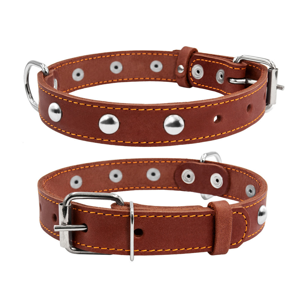 Нашийник для тварин Collar одинарний з прикрасами Ш 20 мм Д 32-40 см коричневий (01356) - зображення 1