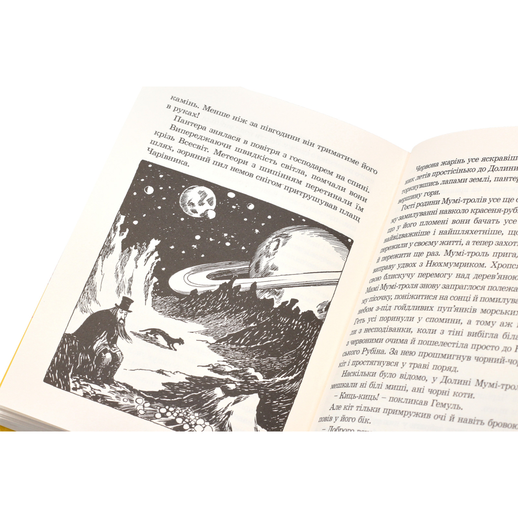 Книга Країна Мумі-тролів. Книга 1 - Туве Янссон Видавництво Старого Лева (9786176796466) - зображення 7