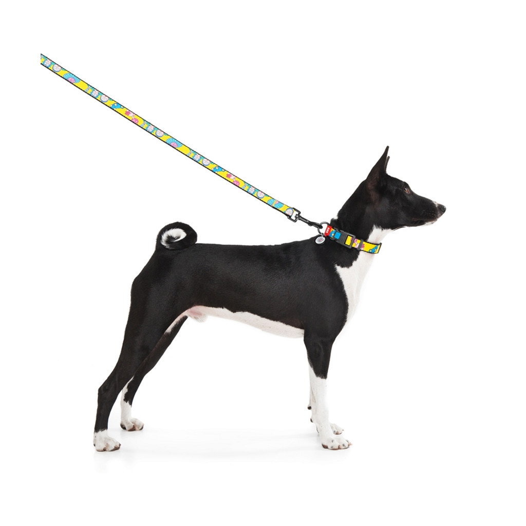 Повідець для собак WAUDOG Nylon "Рік та Морті 1" S Ш 15 мм (4915-0280) - зображення 4