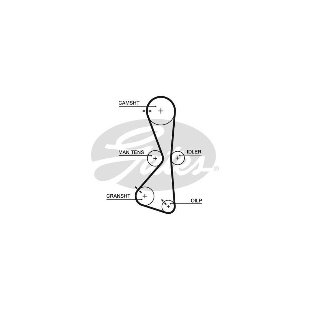 Ремінь ГРМ Gates 5609XS - зображення 1