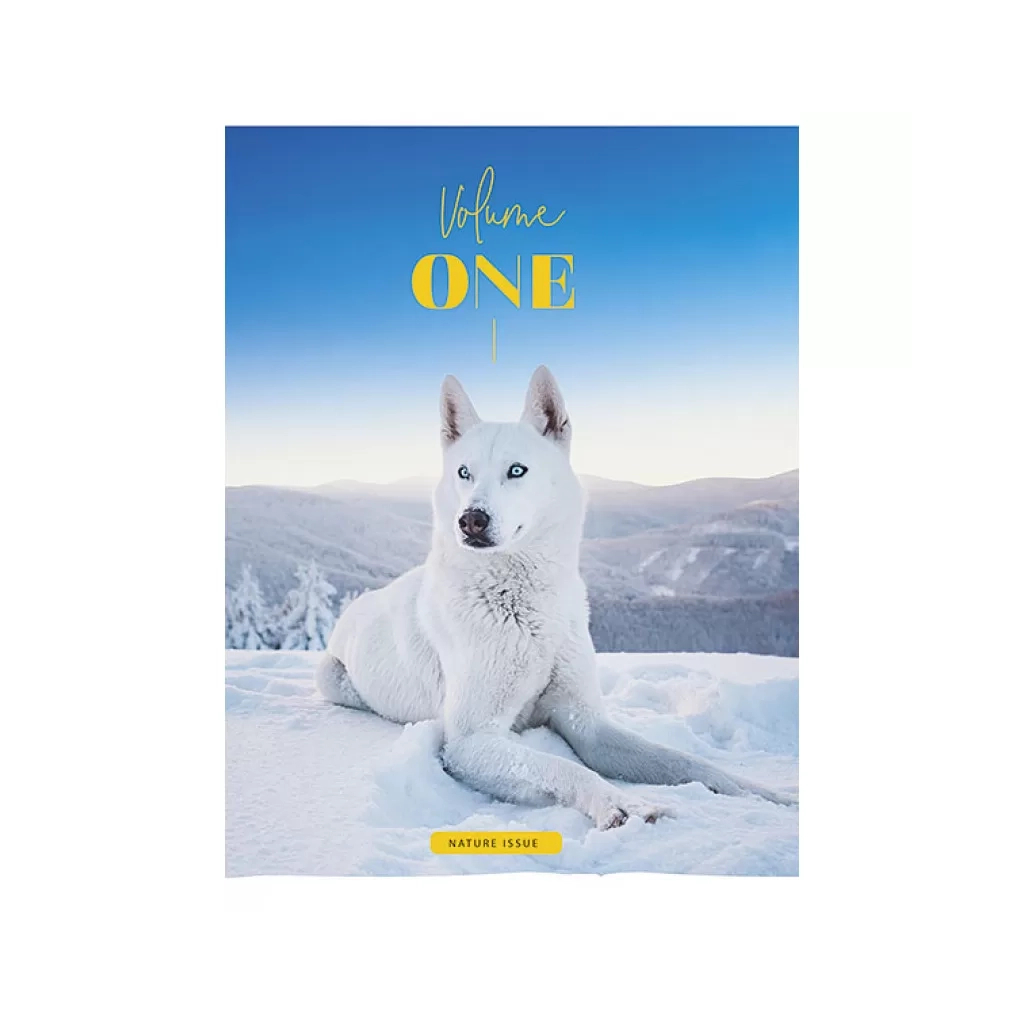 Зошит Школярик А5 Student лінія 48 аркушів (A5-048-5072L) - зображення 3