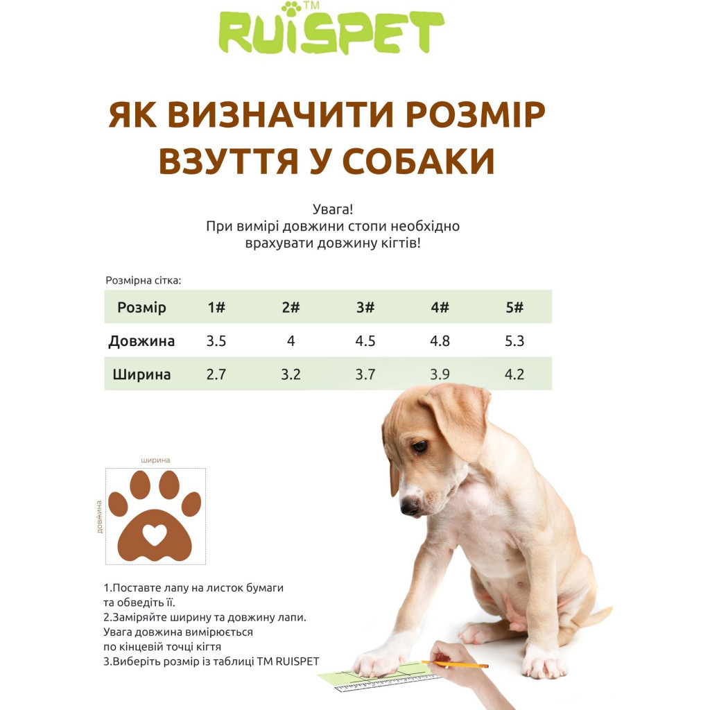 Черевики для собак Ruispet для малих порід, водонепроникні 4 шт №5 сині (2700000033128) - зображення 4
